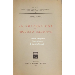 La sospensione del processo esecutivo