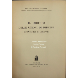 Il diritto delle unioni di imprese