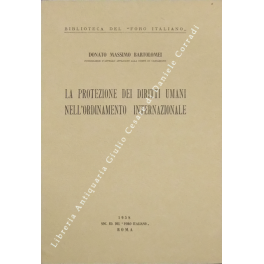 La protezione dei diritti umani nell'ordinamento internazionale La protezione dei diritti umani nell'ordinamento internazionale