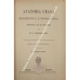 Anatomia umana descrittiva e topografica Anatomia umana descrittiva e topografica
