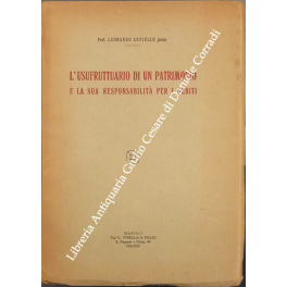 L'usufruttuario di un patrimonio e la sua responsabilità per i debiti