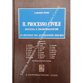Il processo civile. Sistema e problematiche Il processo civile. Sistema e problematiche