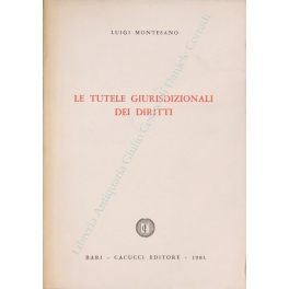 Le tutele giurisdizionali dei diritti