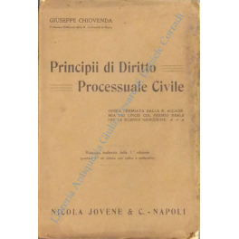 Principii di diritto processuale civile Principii di diritto processuale civile