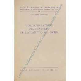 L'organizzazione del trattato dell'Atlantico del Nord