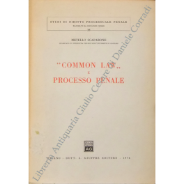 Common law e processo penale