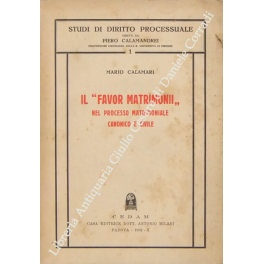 Il favor matrimonii nel processo matrimoniale canonico e civile