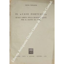 Il caso fortuito