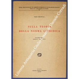 Sulla teoria della norma giuridica