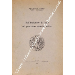 Sull'incidente di falso nel processo amministrativo Sull'incidente di falso nel processo amministrativo