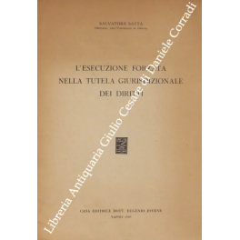 L'esecuzione forzata nella tutela giurisdizionale dei diritti