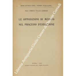 Le opposizioni di merito nel processo d'esecuzione