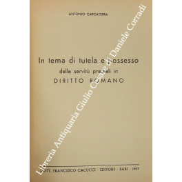 In tema di tutela e possesso delle servitù prediali