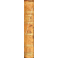 Nouveau manuel de phrenologie