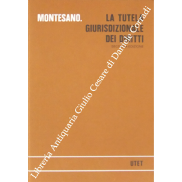 La tutela giurisdizionale dei diritti