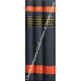 Scritti minori di filosofia del diritto Scritti minori di filosofia del diritto