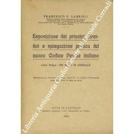 Esposizione dei principi direttivi Esposizione dei principi direttivi