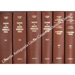 Trattato di diritto processuale civile Trattato di diritto processuale civile