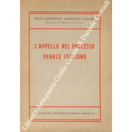 L'appello nel processo penale italiano