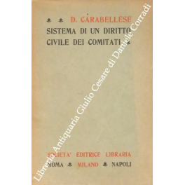 Sistema di un diritto civile dei comitati