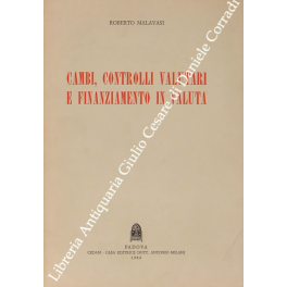 Cambi, controlli valutari e finanziamento in valuta