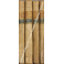 Josephi Paschalis Cyrilli ... ad Librum primum -qu