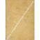 Josephi Paschalis Cyrilli ... ad Librum primum -qu