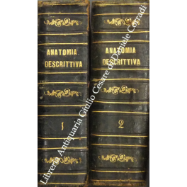 Trattato elementare di anatomia descrittiva Trattato elementare di anatomia descrittiva