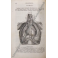 Trattato elementare di anatomia descrittiva