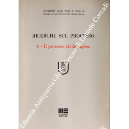 Ricerche sul processo