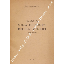 Saggio sulla pubblicità dei beni pubblici