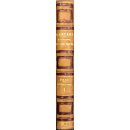 Spiegazione teorico-pratica del Codice Napoleone Spiegazione teorico-pratica del Codice Napoleone