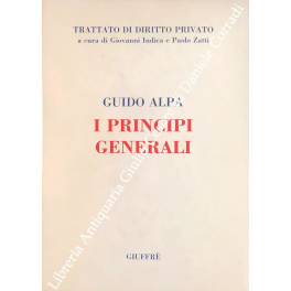I principi generali