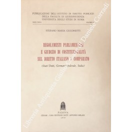 Regolamenti parlamentari e giudizio di costituzionalità Regolamenti parlamentari e giudizio di costituzionalità