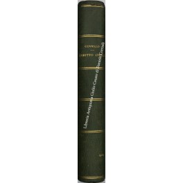 Manuale di diritto civile italiano