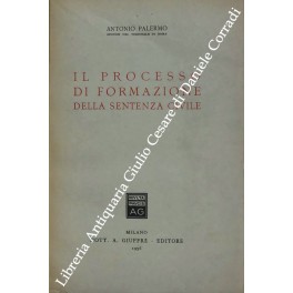 Il processo di formazione della sentenza civile