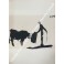 Picasso. Toros y toreros