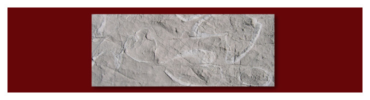 Scienze della terra Scienze della terra