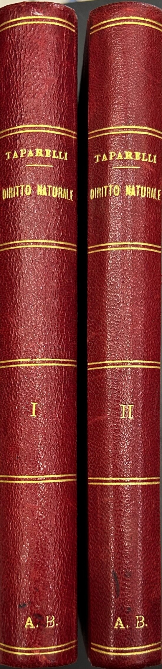 Saggio teoretico di dritto naturale appoggiato sul fatto