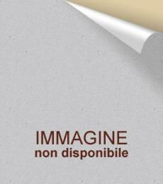 Il quinto Evangelio. Romanzo