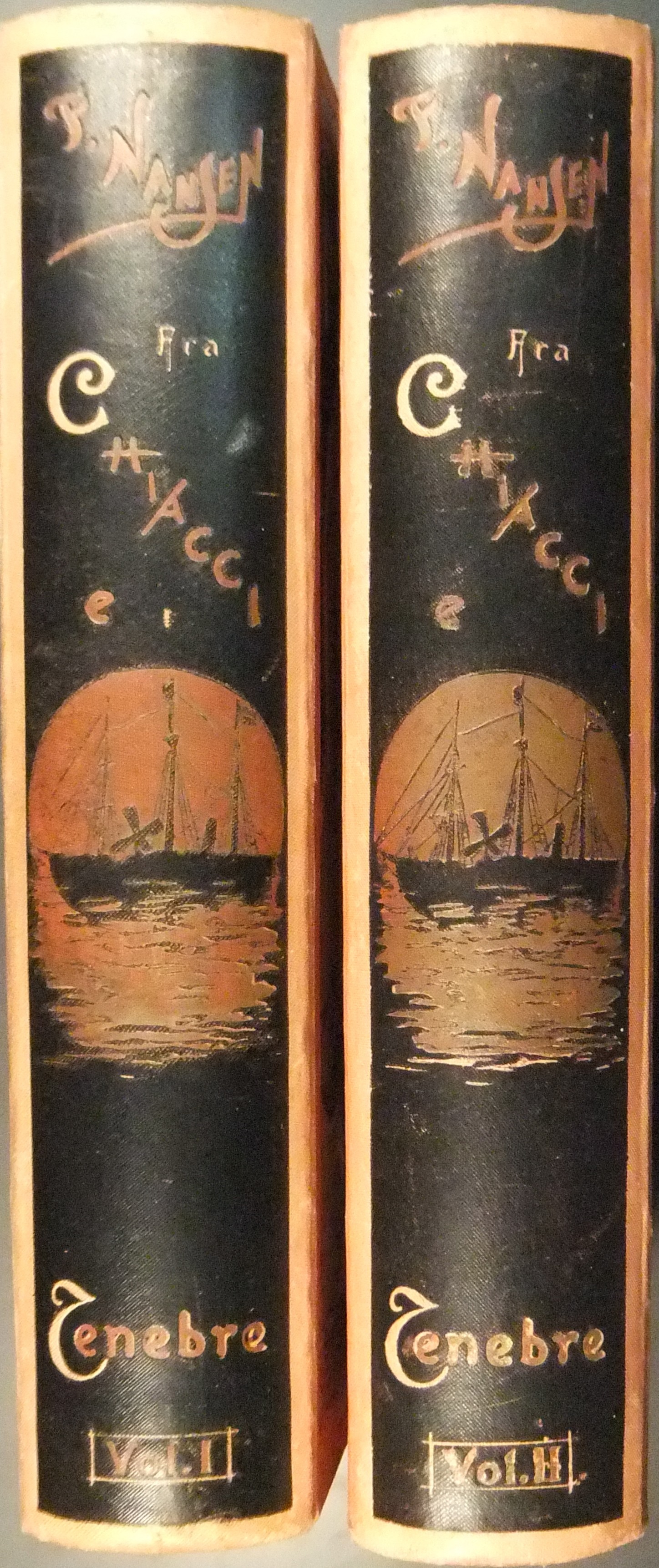 Fra ghiacci e tenebre. La Spedizione Polare Norveg