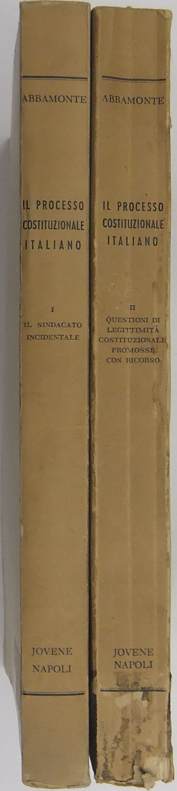 Il processo costituzionale italiano. Vol. I - Il s