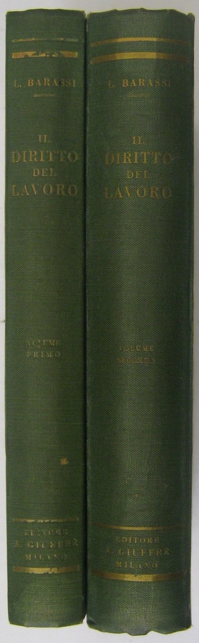 Il diritto del lavoro. Vol. I - Le fonti. Il rappo