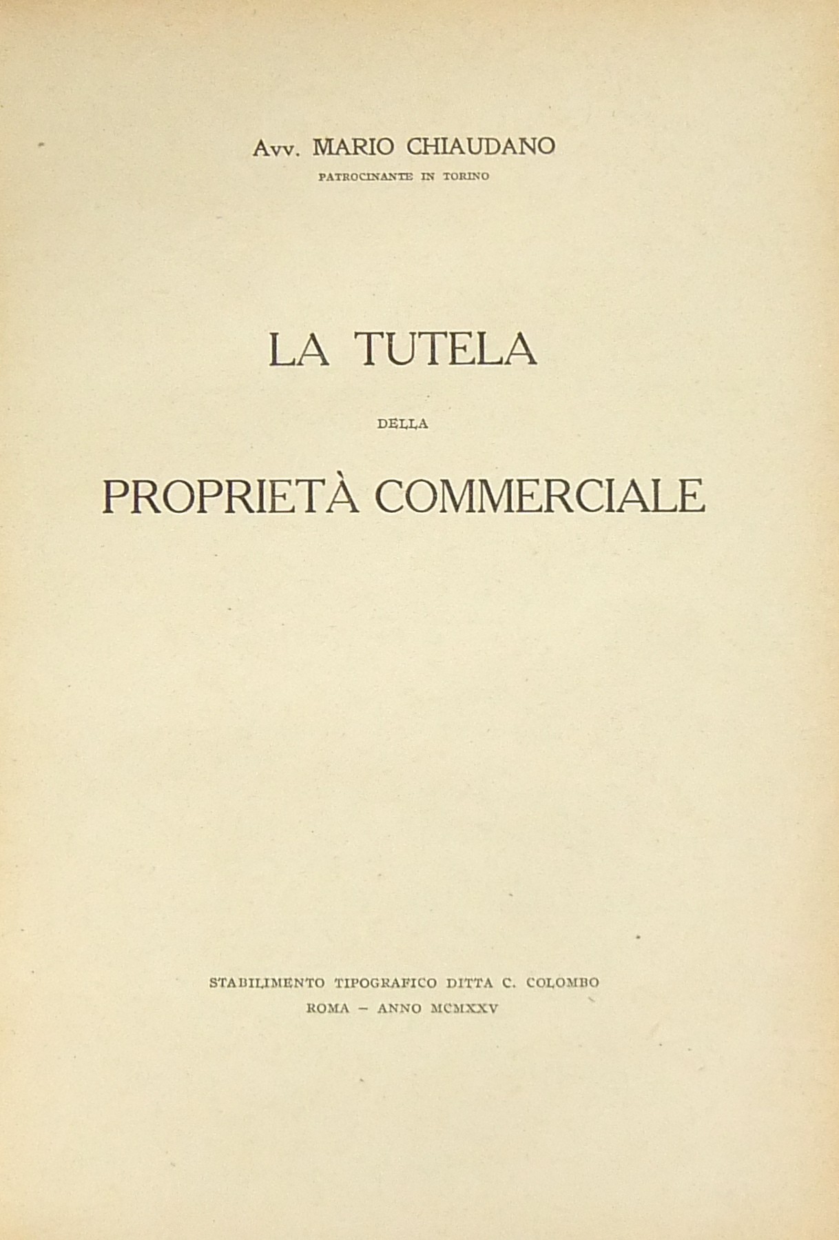 La tutela della proprietà commerciale