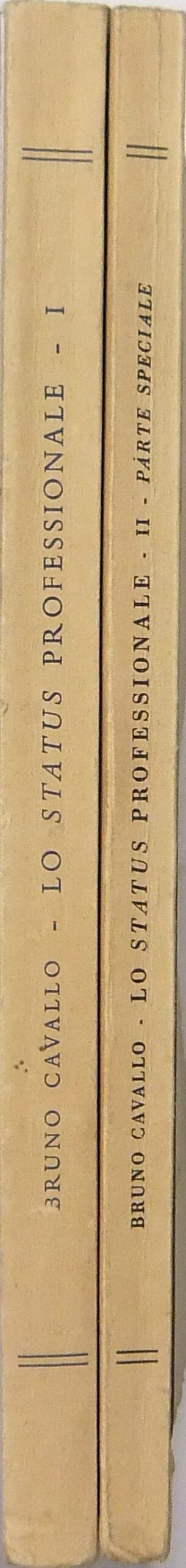 Lo status professionale. Parte generale e speciale