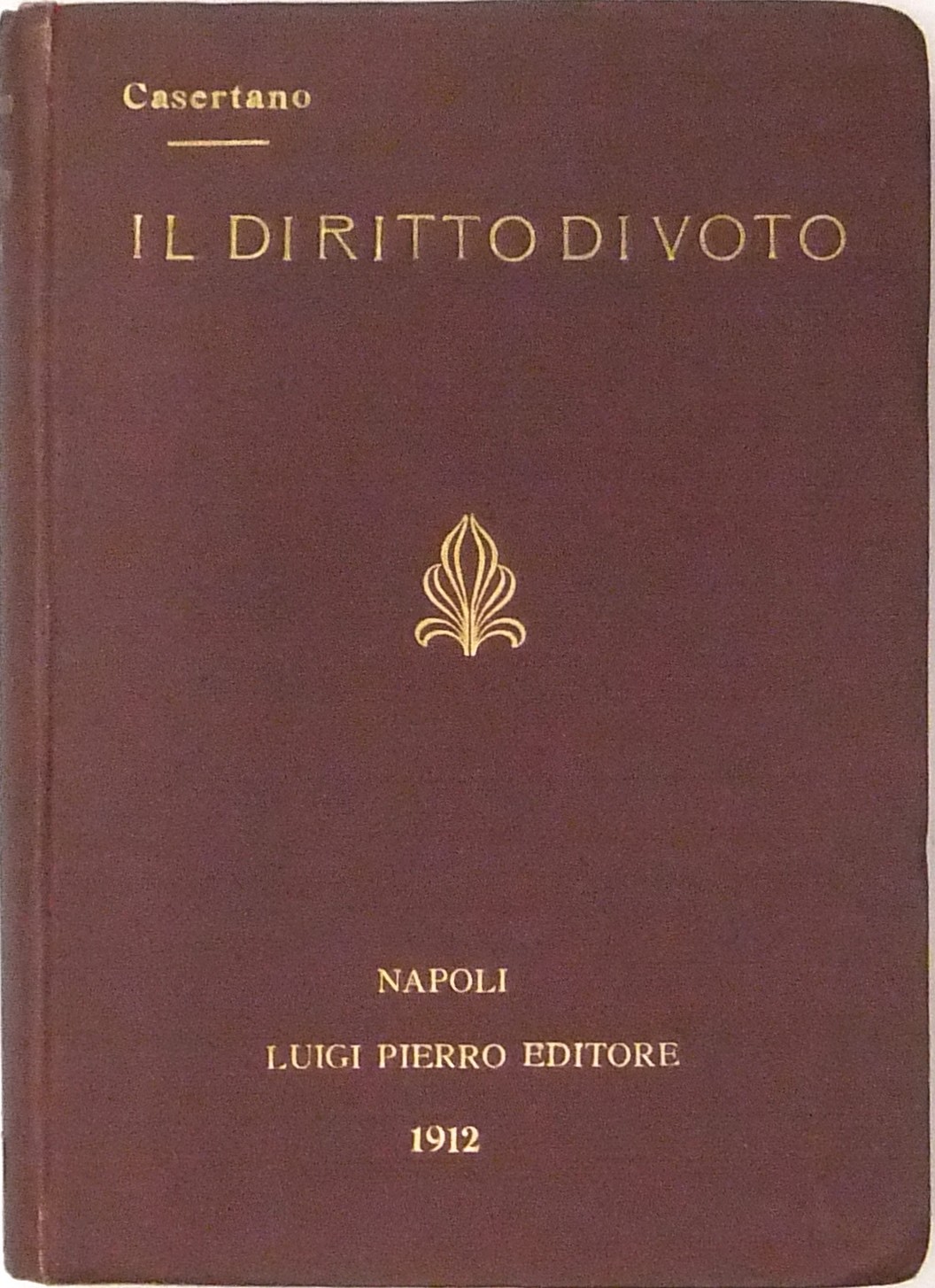 Il diritto di voto. Storia dottrina funzione