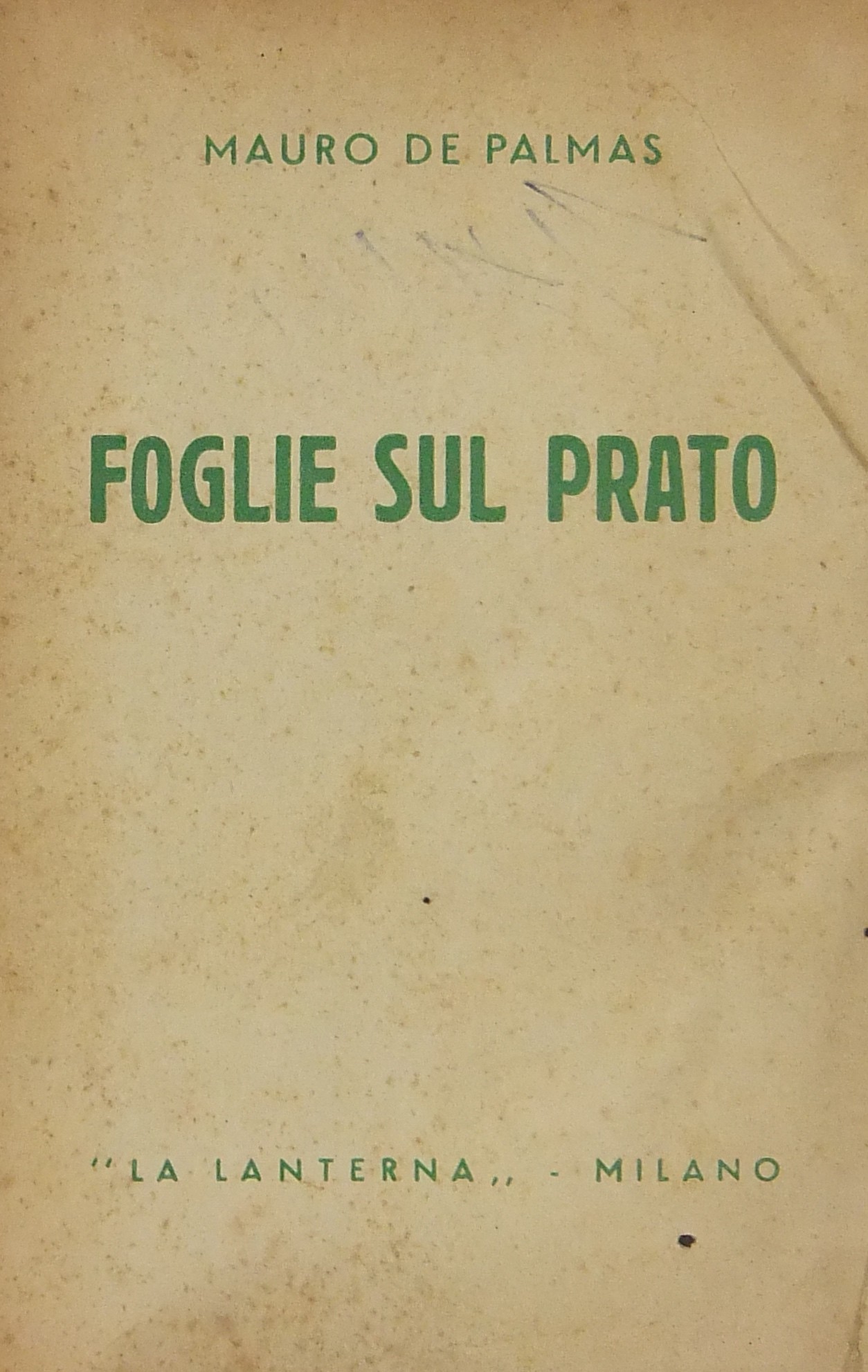 Foglie sul prato