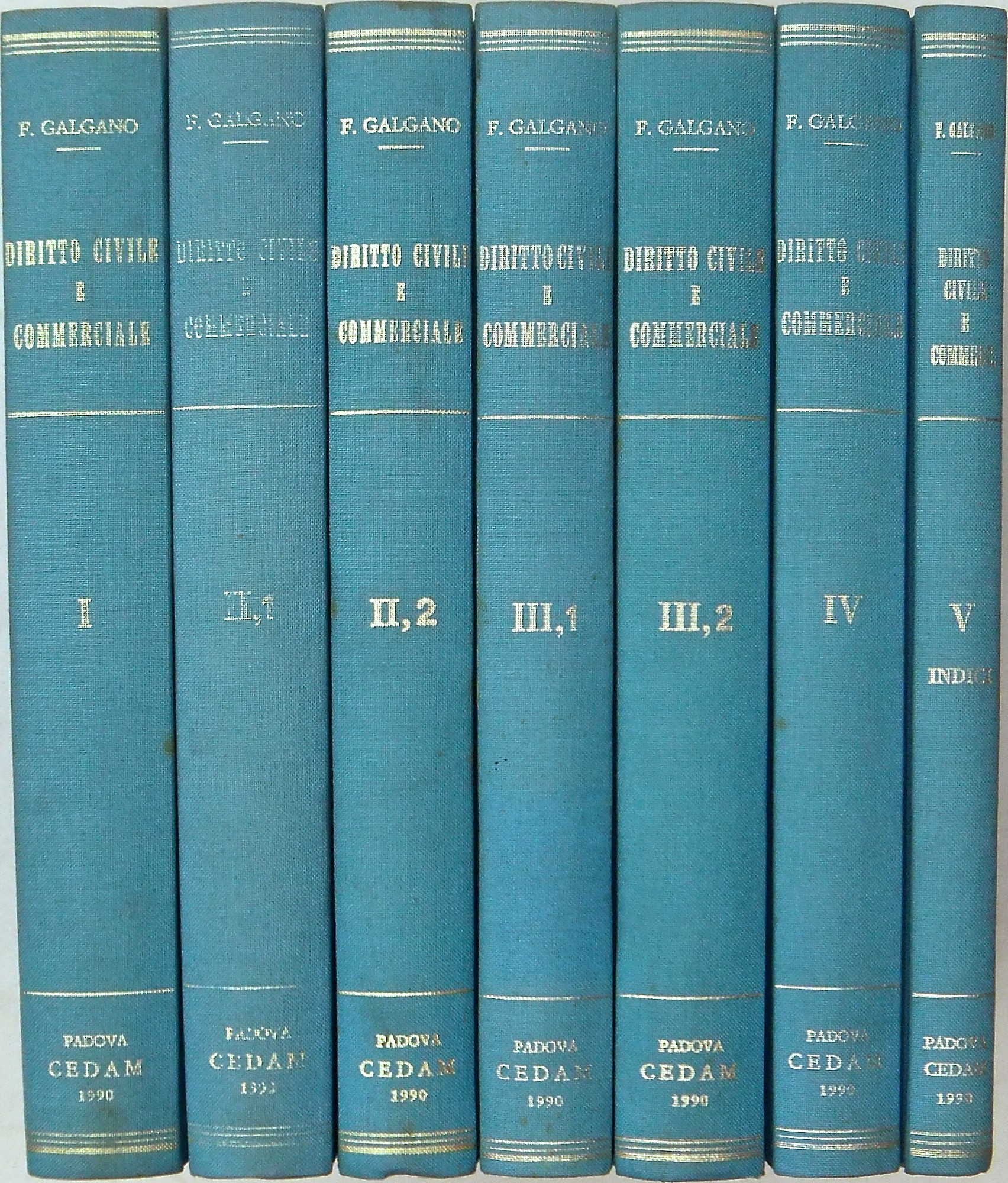 Diritto civile e commerciale. Vol. I - Le categori