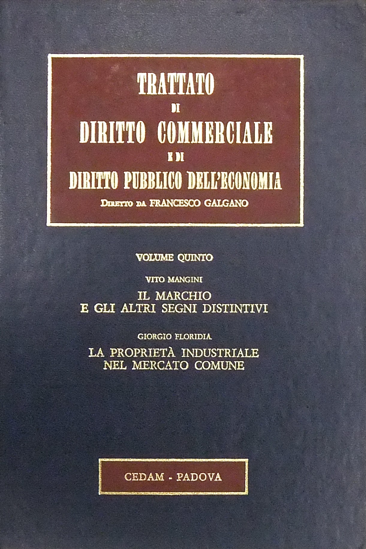 Il marchio ed altri segni distintivi (Mangini).