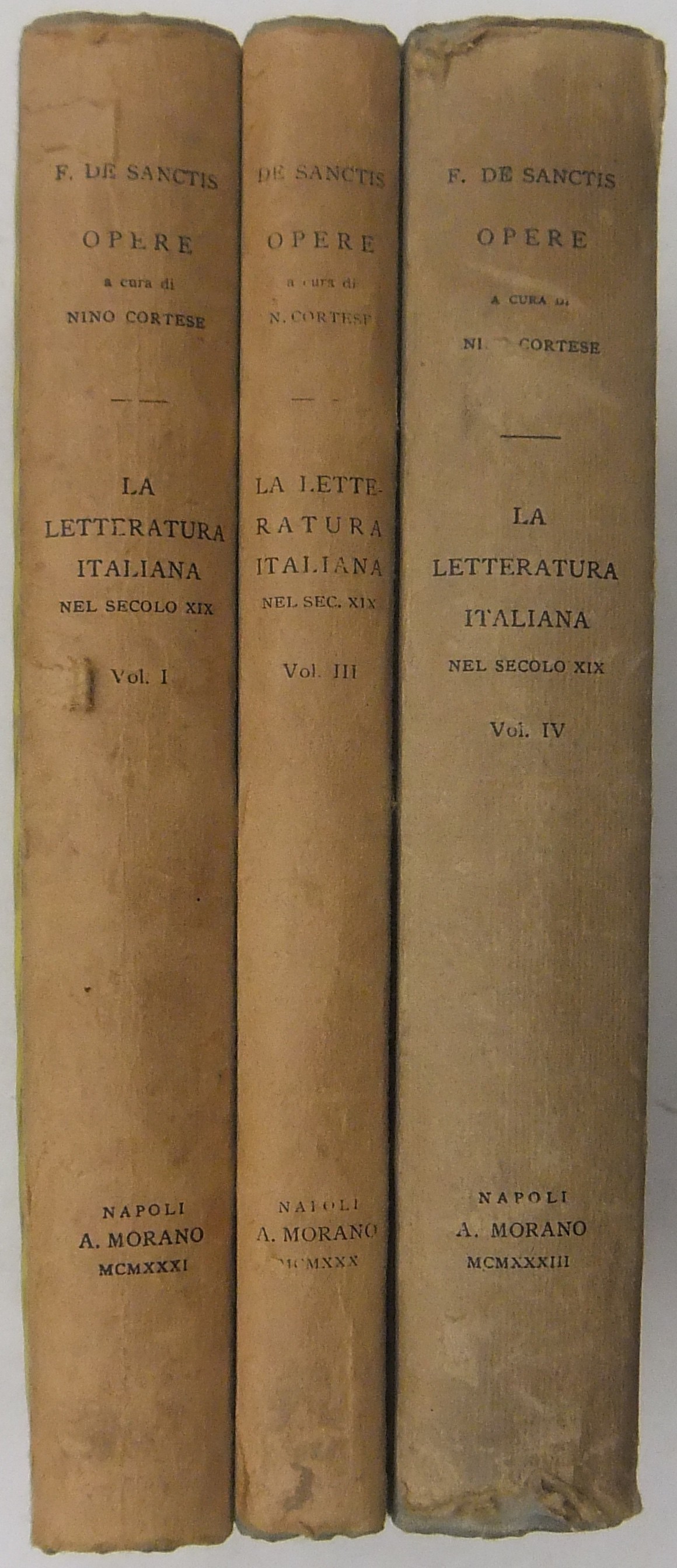 La letteratura italiana nel secolo decimonono
